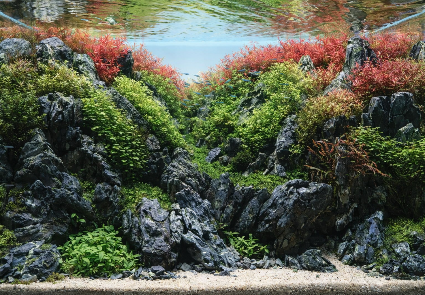 ThorScaping Championship-Aquarium mit Wurzeln, Pflanzen und Sandweg